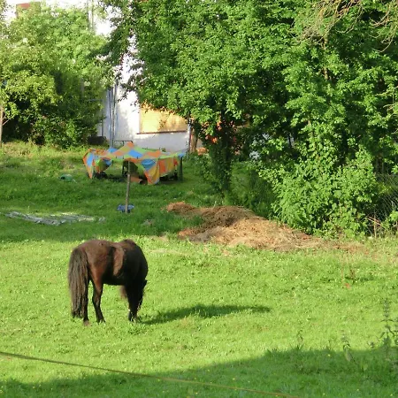 Nyaraló Family Friendly Holiday Home In Alheim Obergude With Garden *