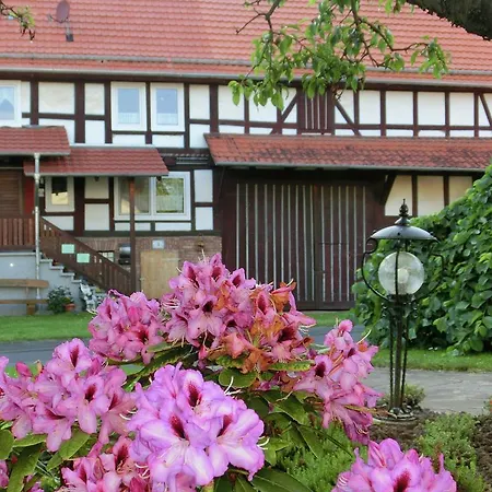 Family Friendly Holiday Home In Alheim Obergude With Garden * Obergude